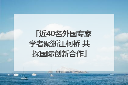 近40名外国专家学者聚浙江柯桥 共探国际创新合作