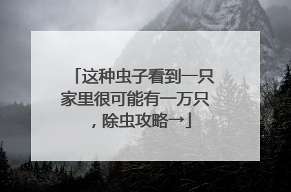 这种虫子看到一只家里很可能有一万只，除虫攻略→