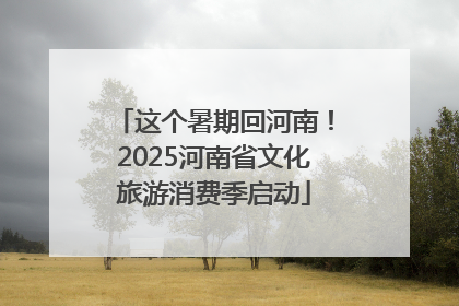 这个暑期回河南！2025河南省文化旅游消费季启动