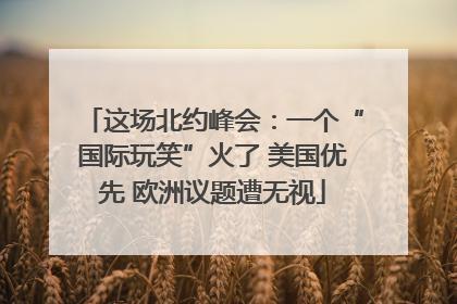 这场北约峰会：一个“国际玩笑”火了 美国优先 欧洲议题遭无视