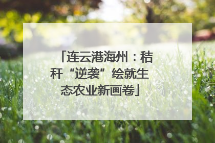 连云港海州：秸秆“逆袭”绘就生态农业新画卷