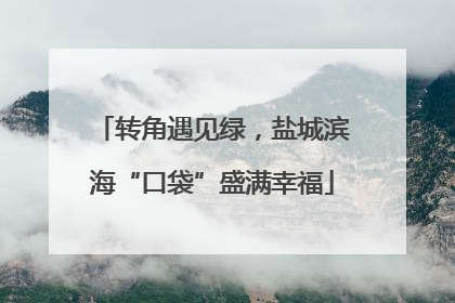 转角遇见绿，盐城滨海“口袋”盛满幸福