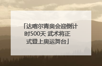 达喀尔青奥会迎倒计时500天 武术将正式登上奥运舞台