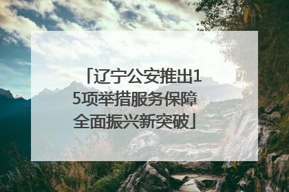 辽宁公安推出15项举措服务保障全面振兴新突破