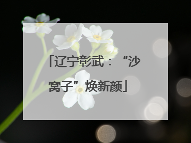 辽宁彰武：“沙窝子”焕新颜