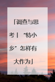 调查与思考丨“特小乡”怎样有大作为
