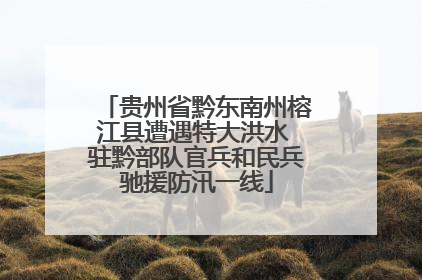 贵州省黔东南州榕江县遭遇特大洪水 驻黔部队官兵和民兵驰援防汛一线
