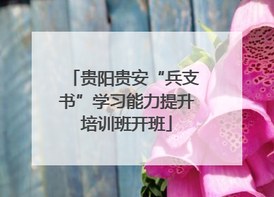 贵阳贵安“兵支书”学习能力提升培训班开班