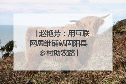 赵艳芳：用互联网思维铺就固阳县乡村助农路