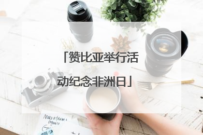 赞比亚举行活动纪念非洲日