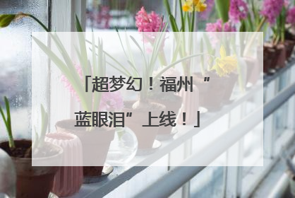 超梦幻！福州“蓝眼泪”上线！