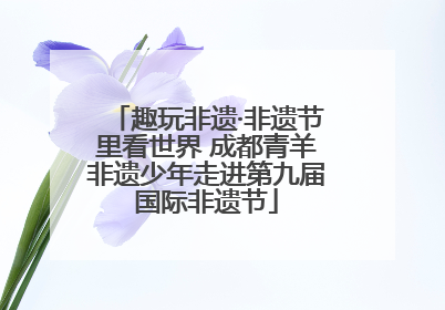 趣玩非遗·非遗节里看世界 成都青羊非遗少年走进第九届国际非遗节
