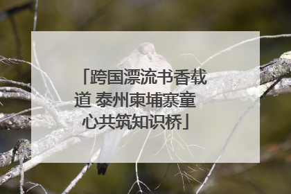 跨国漂流书香载道 泰州柬埔寨童心共筑知识桥