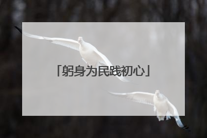 躬身为民践初心