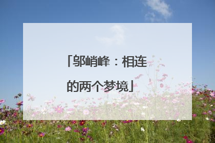 邬峭峰：相连的两个梦境