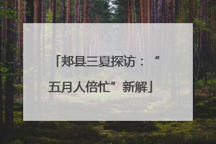 郏县三夏探访：“五月人倍忙”新解