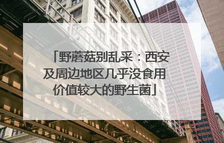 野蘑菇别乱采：西安及周边地区几乎没食用价值较大的野生菌
