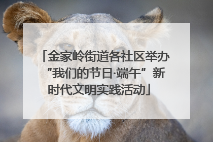金家岭街道各社区举办“我们的节日·端午”新时代文明实践活动