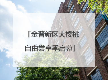 金普新区大樱桃自由尝享季启幕