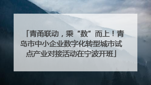 青甬联动，乘“数”而上！青岛市中小企业数字化转型城市试点产业对接活动在宁波开班