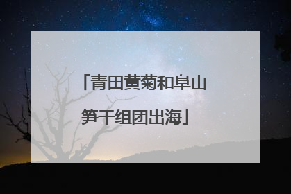 青田黄菊和阜山笋干组团出海