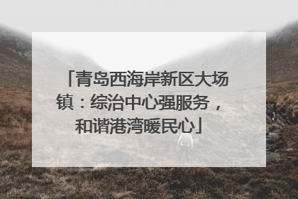 青岛西海岸新区大场镇：综治中心强服务，和谐港湾暖民心