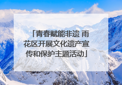 青春赋能非遗 雨花区开展文化遗产宣传和保护主题活动