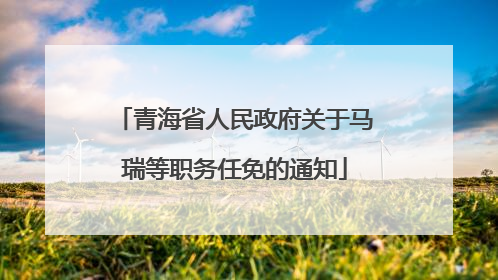 青海省人民政府关于马瑞等职务任免的通知