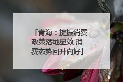 青海：提振消费政策落地显效 消费态势回升向好