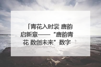 青花入时裳 唐韵启新章——“唐韵青花 数创未来”数字文创设计大赛启幕