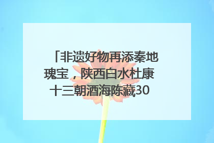 非遗好物再添秦地瑰宝，陕西白水杜康十三朝酒海陈藏30年别具一格
