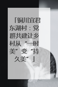 铜川宜君东湖村：党群共建让乡村从“一时美”变“持久美”