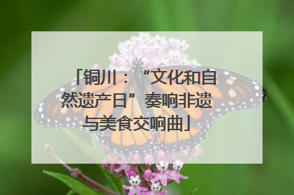 铜川：“文化和自然遗产日”奏响非遗与美食交响曲