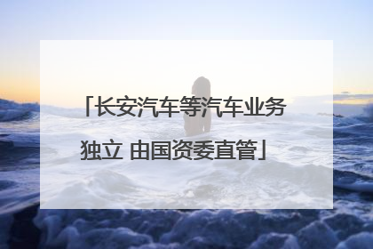 长安汽车等汽车业务独立 由国资委直管