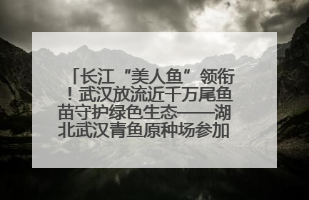 长江“美人鱼”领衔！武汉放流近千万尾鱼苗守护绿色生态——湖北武汉青鱼原种场参加2025年“全国放鱼日”增殖放流活动