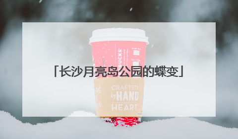 长沙月亮岛公园的蝶变