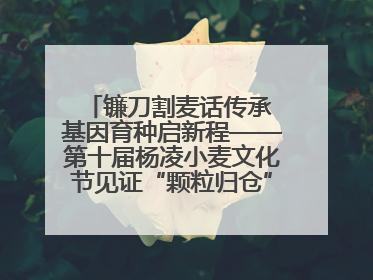 镰刀割麦话传承 基因育种启新程——第十届杨凌小麦文化节见证“颗粒归仓”时空跨越