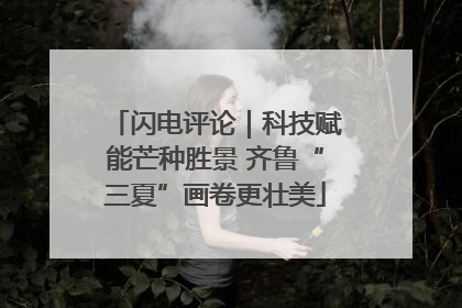 闪电评论｜科技赋能芒种胜景 齐鲁“三夏”画卷更壮美