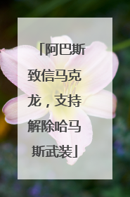 阿巴斯致信马克龙，支持解除哈马斯武装