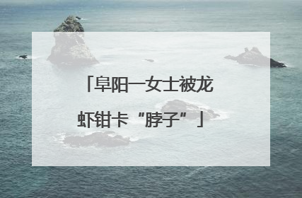 阜阳一女士被龙虾钳卡“脖子”
