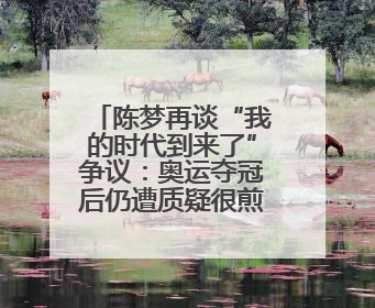 陈梦再谈“我的时代到来了”争议：奥运夺冠后仍遭质疑很煎熬，不敢再这么说了