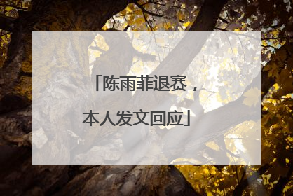 陈雨菲退赛，本人发文回应