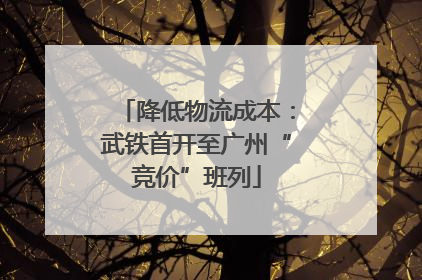 降低物流成本：武铁首开至广州“竞价”班列
