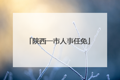 陕西一市人事任免