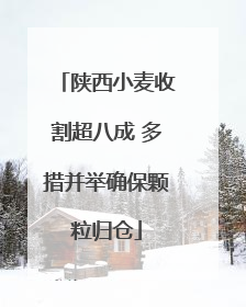 陕西小麦收割超八成 多措并举确保颗粒归仓