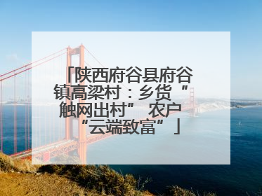 陕西府谷县府谷镇高梁村：乡货“触网出村” 农户“云端致富”