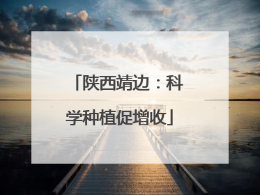 陕西靖边：科学种植促增收