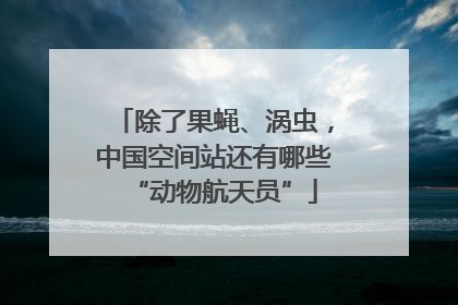 除了果蝇、涡虫，中国空间站还有哪些“动物航天员”