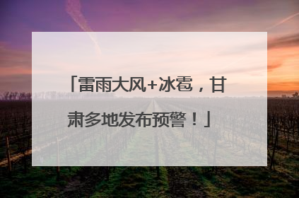 雷雨大风+冰雹，甘肃多地发布预警！