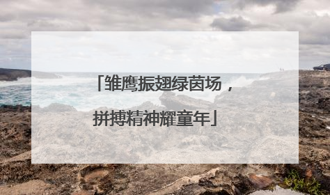 雏鹰振翅绿茵场，拼搏精神耀童年